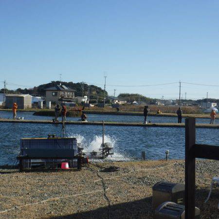 浜名湖フィッシングリゾート 釣果