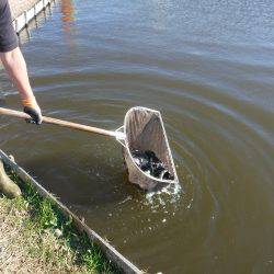 浜名湖フィッシングリゾート 釣果