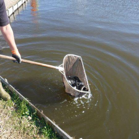 浜名湖フィッシングリゾート 釣果