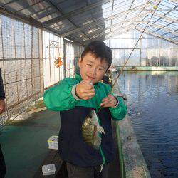 浜名湖フィッシングリゾート 釣果