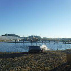 浜名湖フィッシングリゾート 釣果