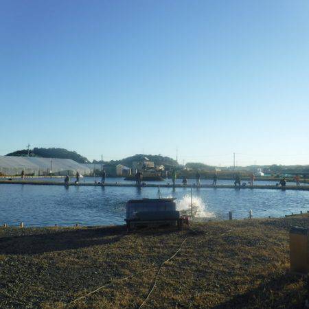 浜名湖フィッシングリゾート 釣果
