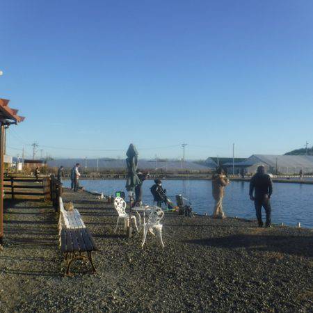 浜名湖フィッシングリゾート 釣果