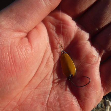浜名湖フィッシングリゾート 釣果