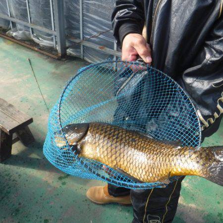 浜名湖フィッシングリゾート 釣果