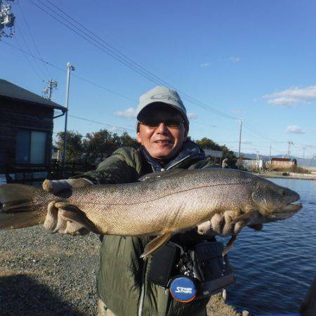 浜名湖フィッシングリゾート 釣果