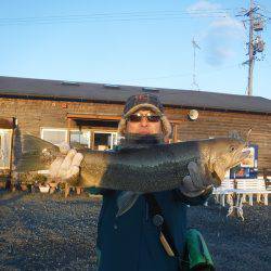 浜名湖フィッシングリゾート 釣果