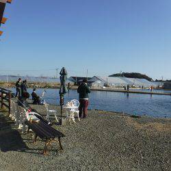 浜名湖フィッシングリゾート 釣果