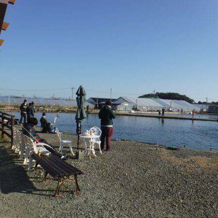 浜名湖フィッシングリゾート 釣果