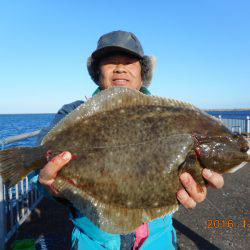 鹿島港魚釣園 釣果