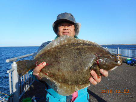 鹿島港魚釣園 釣果