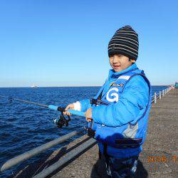 鹿島港魚釣園 釣果