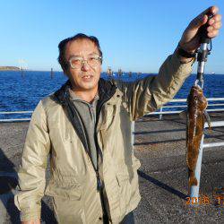 鹿島港魚釣園 釣果