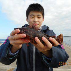 鹿島港魚釣園 釣果