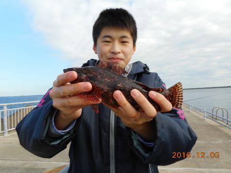 鹿島港魚釣園 釣果
