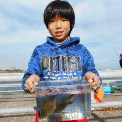 鹿島港魚釣園 釣果