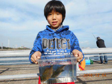 鹿島港魚釣園 釣果