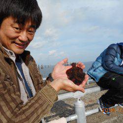 鹿島港魚釣園 釣果