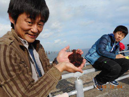 鹿島港魚釣園 釣果
