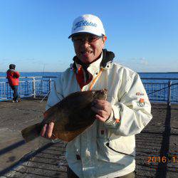 鹿島港魚釣園 釣果