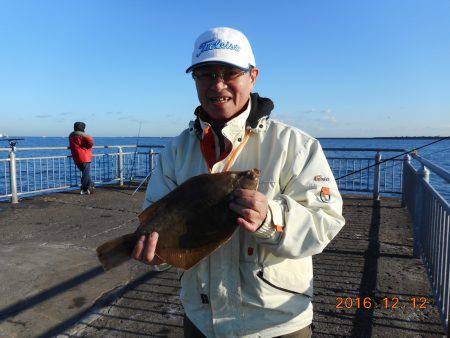 鹿島港魚釣園 釣果