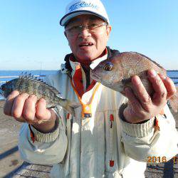 鹿島港魚釣園 釣果