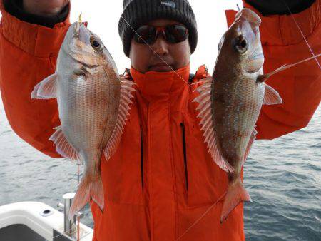 Fisherman Dreams DI 釣果