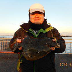 鹿島港魚釣園 釣果