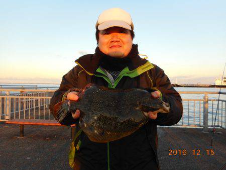 鹿島港魚釣園 釣果