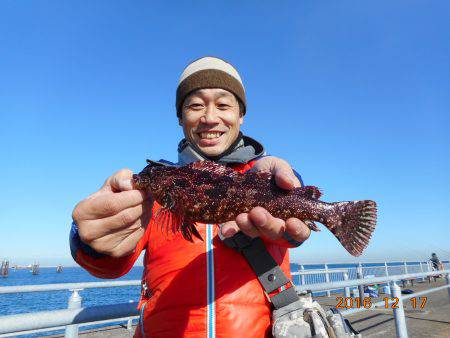 鹿島港魚釣園 釣果