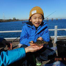 鹿島港魚釣園 釣果
