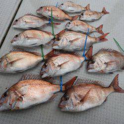 Fisherman Dreams DI 釣果