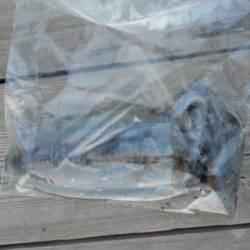 こかわ渡船 雅丸 釣果