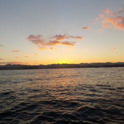 フィッシングボート空風(そらかぜ) 釣果