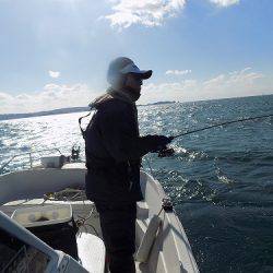 フィッシングボート空風(そらかぜ) 釣果