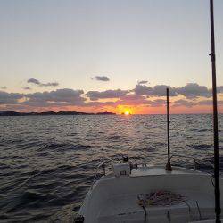 フィッシングボート空風(そらかぜ) 釣果