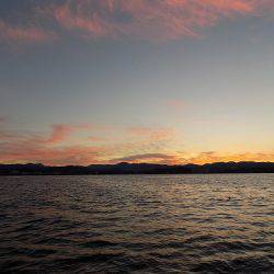 フィッシングボート空風（そらかぜ） 釣果