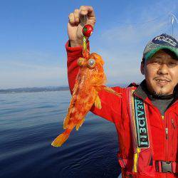 フィッシングボート空風(そらかぜ) 釣果
