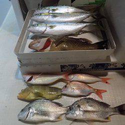 フィッシングボート空風（そらかぜ） 釣果