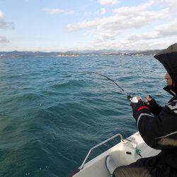 フィッシングボート空風（そらかぜ） 釣果