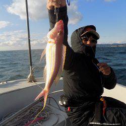 フィッシングボート空風（そらかぜ） 釣果