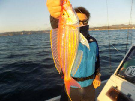 フィッシングボート空風（そらかぜ） 釣果