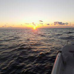 フィッシングボート空風（そらかぜ） 釣果