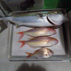 フィッシングボート空風（そらかぜ） 釣果