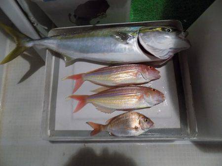 フィッシングボート空風（そらかぜ） 釣果