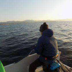 フィッシングボート空風（そらかぜ） 釣果