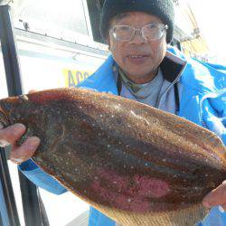 大進丸（愛知） 釣果