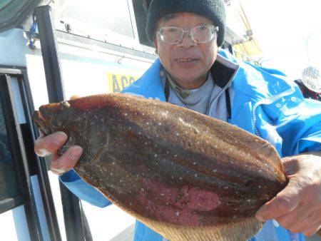 大進丸（愛知） 釣果