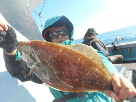 大進丸（愛知） 釣果