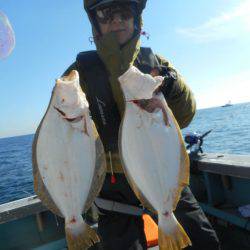 大進丸（愛知） 釣果